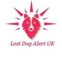 LostDogAlertUK(@LostDogAlertUK) 's Twitter Profile Photo