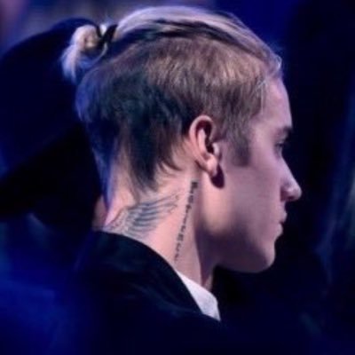 hailsgreys's profile picture. eh nois que voa