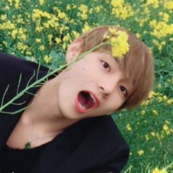 yerhet's profile picture. Não siga, perfil criado apenas para testar packs