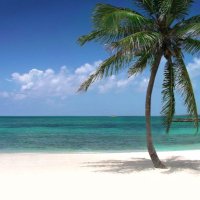 The Easy Day Store (@easy_day_store) 's Twitter Profile