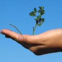 AnnsGuidingHand's profile picture. Independent living consultant, special needs nanny, respite carer, special needs consultant, mother of twins!