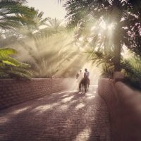 Ghaida👑 (@2_ghaidaa) 's Twitter Profile