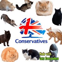 Tory Cats (@torycats) 's Twitter Profile