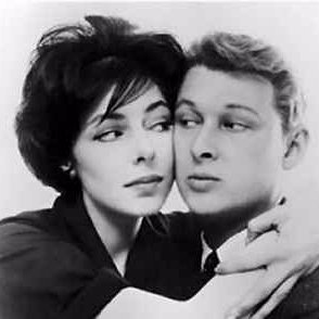 distractionism's profile picture. Media Studies person