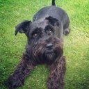 luis nagel sandoval - @luisangel001408 - Twitter