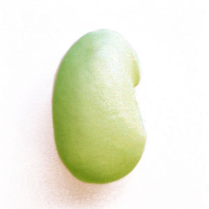 soylack's profile picture. 帝国大学で経済学のPh.d.の修得中。ベンチャー企業におけるITマーケティングとソーシャルメディアのシナジーを研究