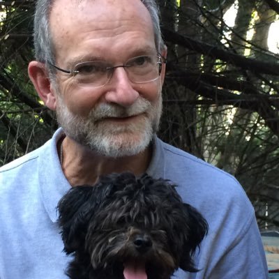 GGreenberg's profile picture. In Twtr since 2/09 & just now see its leverage & utility. Trying to push progressive causes, esp health & social equity.