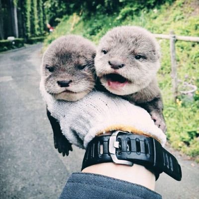 ź·ģ¬ģ“ ė물/ė©ģė ķź²½/ģ¢ģ źøź· ź³µģ ķ“ģ~^^ā§ā§(ė§ķ 100%āā)
