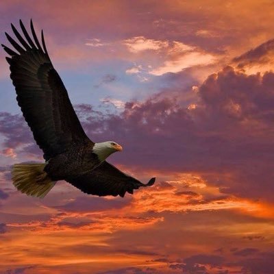 friejuz38's profile picture. 