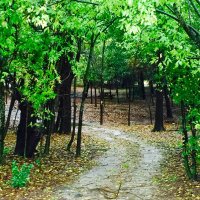 Dustin Bryant (@dustin6505) 's Twitter Profile Photo