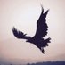 Turania Ϝ ϓ ſ Ϟ (@__vatan___) Twitter profile photo Turania Ϝ ϓ ſ Ϟ (@__vatan___) Twitter profile photo