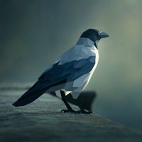 Vivek (@vonterinon) 's Twitter Profile