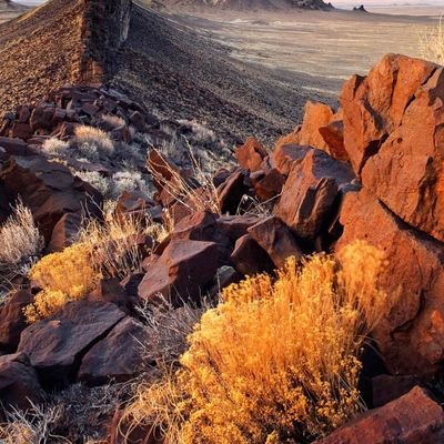 On3qD6GbXPGQHuX's profile picture. 