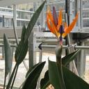 Susan Oates - @ssocks - Twitter