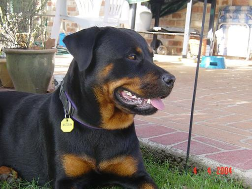 Soozik's profile picture. 