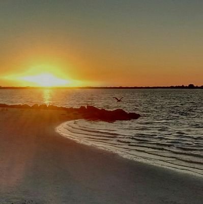 BradBBjorklund's profile picture. 