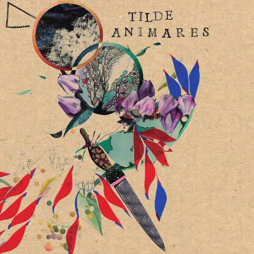 planetatilde's profile picture. Juntando notas desde 2009.