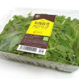 HowdoyoudoDAZE's profile picture. )) ただのヲタ裏