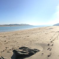 Slickers • Doghouse (@slickerspadstow) 's Twitter Profile