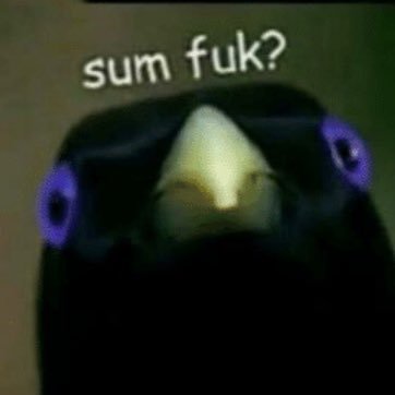 sixmieterkuk's profile picture. 