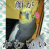 レオ隊長＠ワクチン×7 うがい手洗い継続中 (@time4411) Twitter profile photo