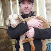 Stuart Derrick (@sederrick) 's Twitter Profile