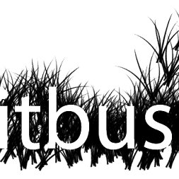 ITBUSH_OFFICIAL's profile picture. 