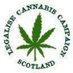Legalise Cannabis Campaign Scotland (@legalisecanabo) Twitter profile photo Legalise Cannabis Campaign Scotland (@legalisecanabo) Twitter profile photo