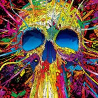 Gerben Muylaert (@gerbn_03) 's Twitter Profile