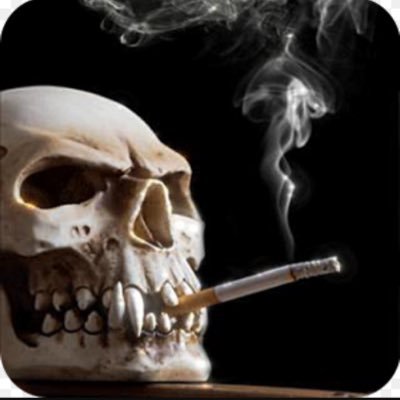 watchmanight's profile picture. 