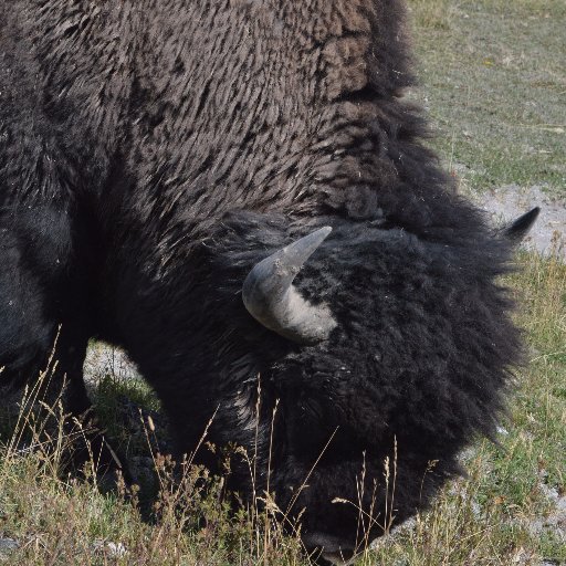 B_Beer_Hiker's profile picture. Not all who wonder are lost, they might just be looking for a good brewery.