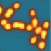 Thanbichler lab (@thanbichlerlab) Twitter profile photo Thanbichler lab (@thanbichlerlab) Twitter profile photo