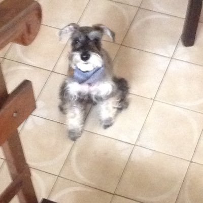 jctpicon's profile picture. 