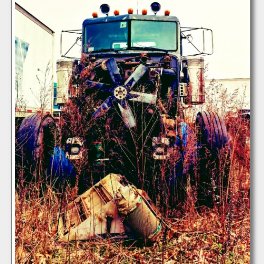 Filings Plus : Great Insurance rates, fmcsa,DOT,DMV compliance, mentoring,and more
