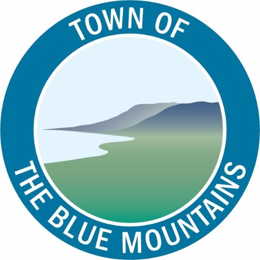 townofbluemtns Profile Picture