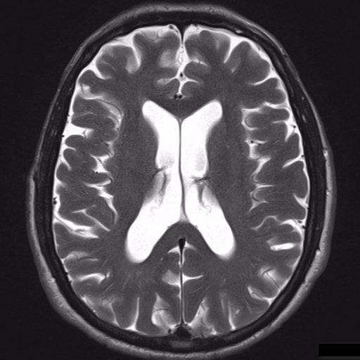 GuillaumeG0x's profile picture. 