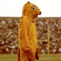 Knut Vogel (@keksehexe) 's Twitter Profile