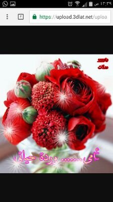 ‏يارب احمنا .