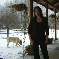 Neatcurios Antiques (@neatcurios) 's Twitter Profile