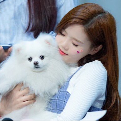 voldemortinho's profile picture. 