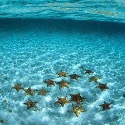 tobon_erica's profile picture. 