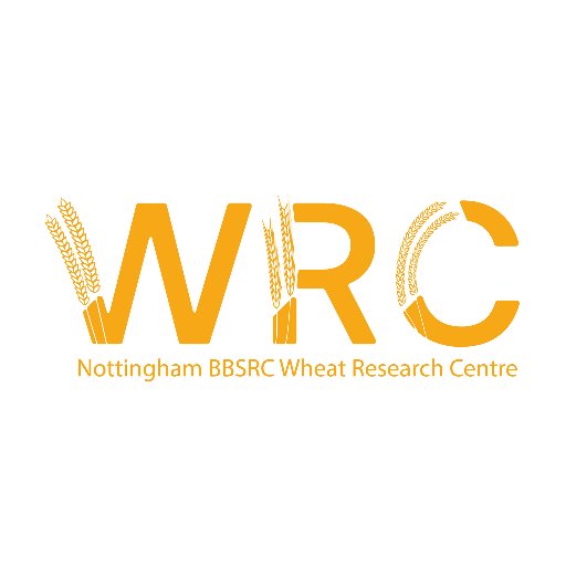 Nottingham BBSRC Wheat Research Centre aims to transfer genetic variation from wild related species into wheat and distribute the germplasm generated world wide