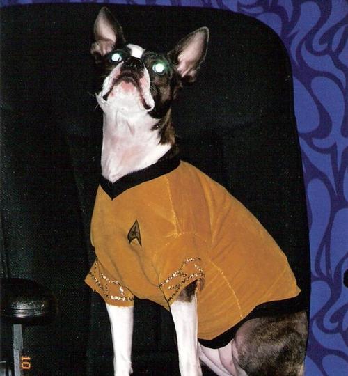 cynicalangel's profile picture. 