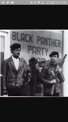 A revolutionary black nationalist and socialist organization active in the United States from 1966 to 1982.