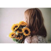 SunFlower (@n__sunfura) 's Twitter Profile