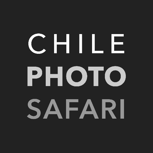 Talleres de Fotografía para Expresar y Viajar. Expediciones Fotográficas experimentando la vida silvestre y cultural de Destinos Turisticos de Chile.