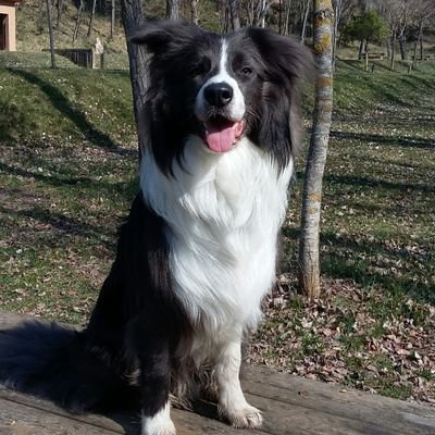 ciutadà esperançat amb un futur menys hostil i menys corrupte .