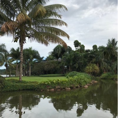 Uuretin39198129's profile picture. 