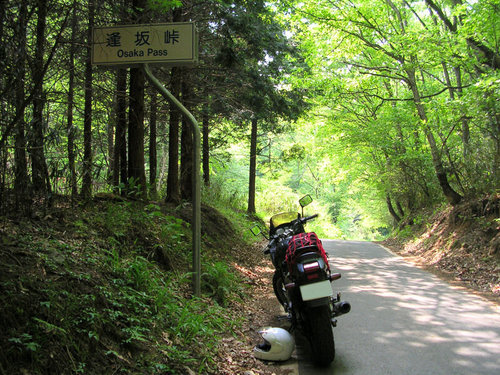 cinderforge's profile picture. 派遣ネットワークエンジニアなので所属がころころ変わります。猫好き。二輪好き Aprilia SRMAX300/TREK FX3(2018)