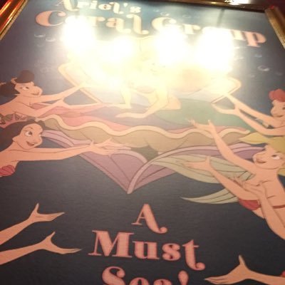 #PLUR / Disney/ ADM EDM/洋楽/洋画/TUK/イベントなどに関して気軽に連絡ください! JCFL CA専攻